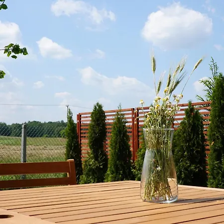 Wyraj Nad Pilica Holiday home *